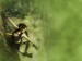 TOMB_RAIDER_UNDERWORLD_THAILANDWallpaper